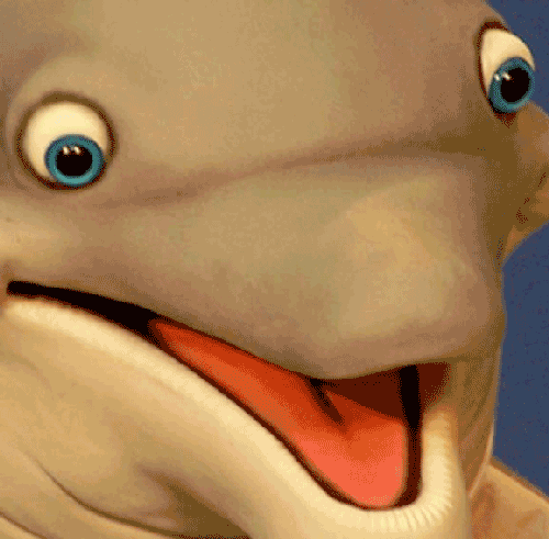 Thrilled Dolphin