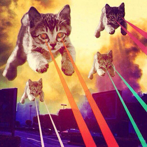 laser cat